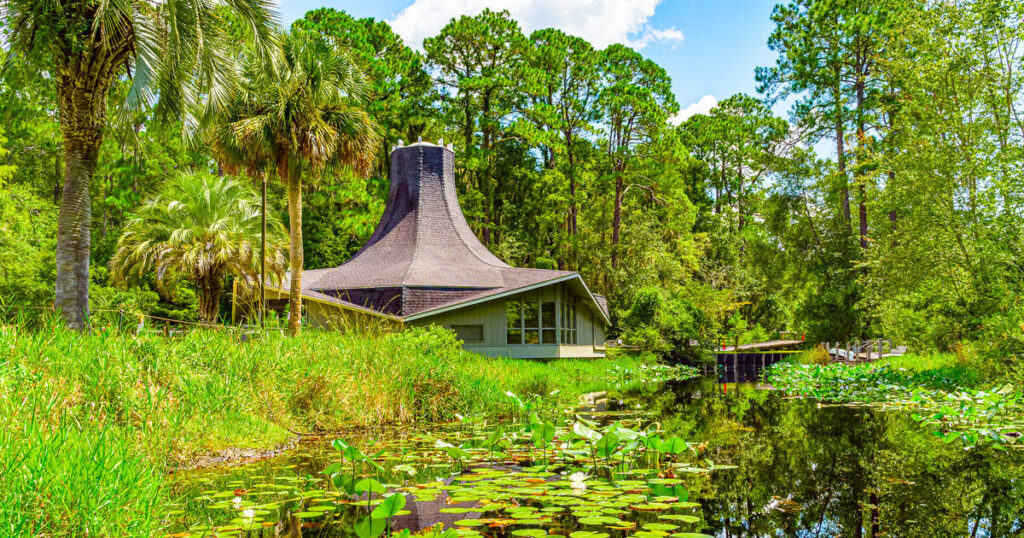 Best Family-Friendly Attractions in Coastal Plain GA Best Family-Friendly Attractions in Coastal Plain GA