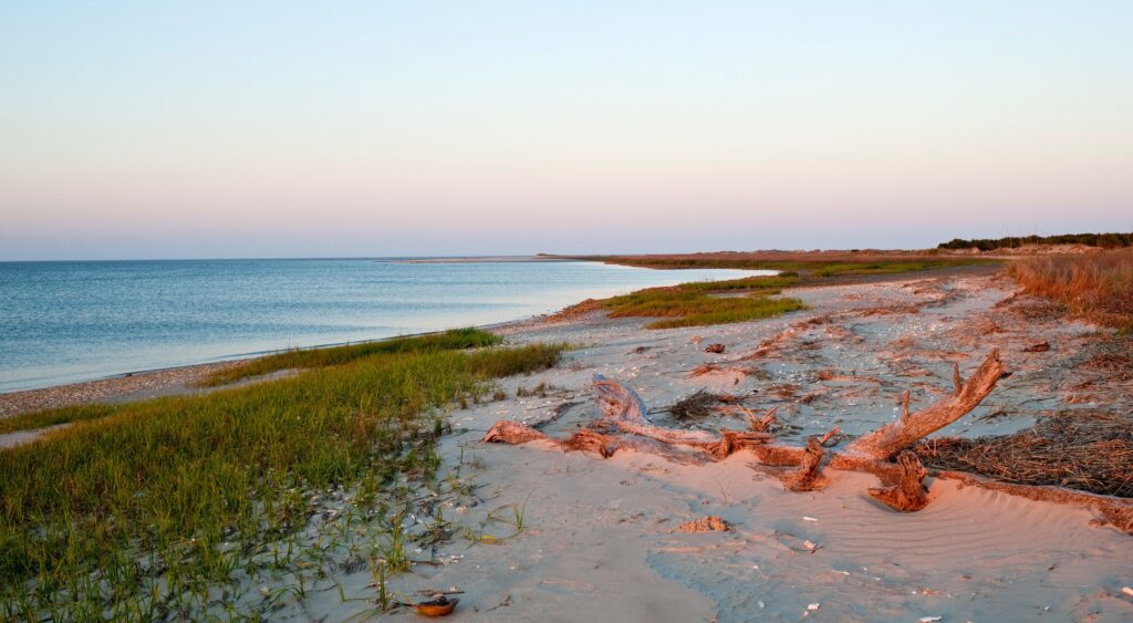 Discovering the Beauty of Coastal Plain GA Discovering the Beauty of Coastal Plain GA