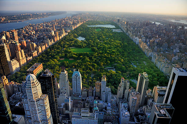 Aerial view of Central Park’s lush greenery and lakes