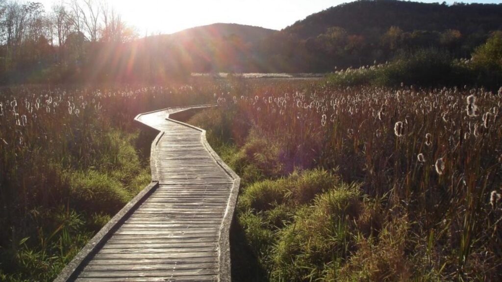 Sussex County's Scenic Hiking Trails